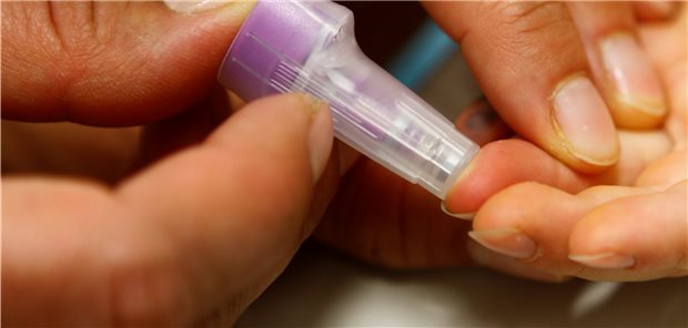 Mit Screening bei Kleinkindern gegen Diabetes Diabetesfrüherkennung: Blutentnahme für die Antikörpertests.