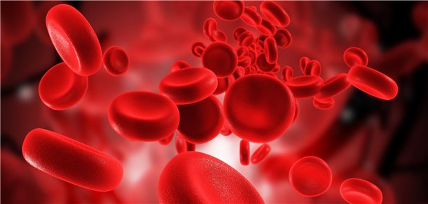 Blutfluss ohne Komplikationen – Auch bei älteren und gebrechlichen Menschen punkten NOAK, um ihn bei Vorhofflimmern intakt zu halten.