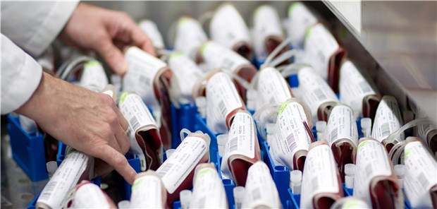 Bluspenden auf West-Nil-Virus testen? Blutkonserven-Vorrat: Sollte diese künftig konsequent auch auf Erreger wie das West-Nil-Virus utersucht werden? © Friso Gentsch / dpa