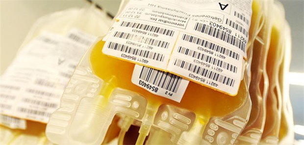 Hoffnung im Blut von Überlebenden Blutplasma könnte Experten zufolge den Ebola-Infizierten helfen.