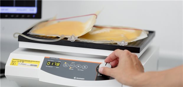 Blutplasma von COVID-Genesenen wird für die Transfusion vorbereitet.
