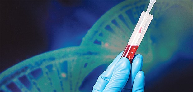 Blutprobe im Labor: Molekularbiologische Verfahren in der Onkologie werden intensiv beforscht.