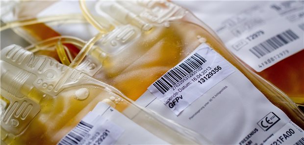 Blutspenden mit Risiko für die Empfänger? Blutplasma-Beutel in einem Labor des Universitätsklinikums Hamburg-Eppendorf. (Archivbild)