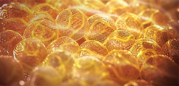 Eine geballte Dosis Fakten gegen die "Cholesterin-Lüge" Böses Cholesterien? Naheaufnahme von Lipidpartikeln.