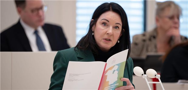 Krankenhäuser: Brandenburger Landtag fordert Bund heraus Brandenburgs Gesundheitsministerin Britta Müller spricht in der Landtagssitzung.