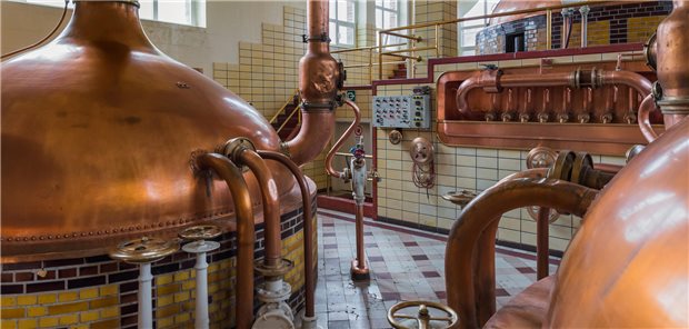 Brauerei im eigenen Darm: Beim Eigenbrauer-Syndrom kommt es zu einer endogenen Alkoholgärung, weil Mikroorganismen im Darm, Alkohol aus Kohlenhydraten fermentieren. (Symbolbild)