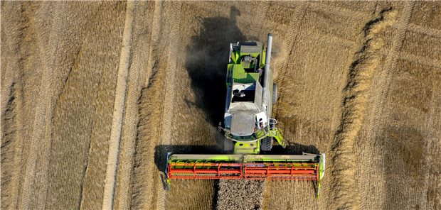 Grüne Landwirtschaft – am Kapitalmarkt angekommen Brot oder Fleisch? Weltweit werde mehr als die Hälfte der landwirtschaftlichen Flächen genutzt, um nicht Menschen, sondern Mastvieh zu ernähren.