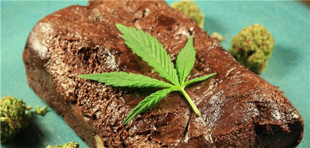 Ärzte warnen vor Naschwerk mit Cannabis Brownie cannabis