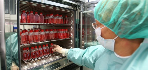 Krebspatienten: Mehr Aufklärung über Gewebespenden nötig Brutschrank in der Gewebebank Mecklenburg-Vorpommern im Biomedizinischen Forschungszentrum Rostock: Hier bleiben präparierte menschliche Hornhäute bei -32 Grad für zehn bis 28 Tage verwendbar.