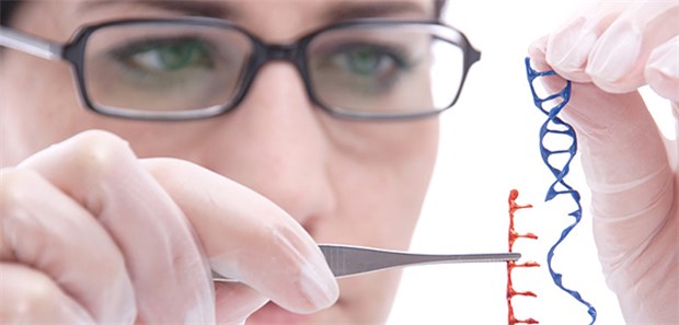 CAR-T-Zellen (CAR=Chimeric Antigen Receptor) werden unter großem Aufwand individuell hergestellt.