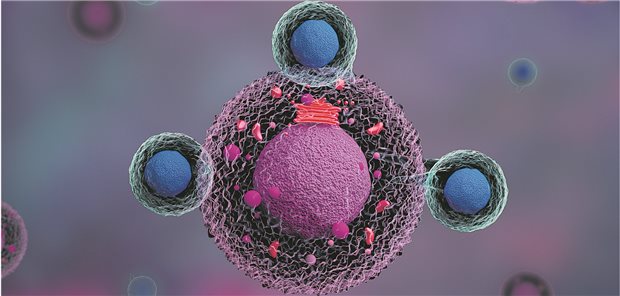 CAR-T-Zellen (blau) attackieren eine Krebszelle (pink). Aus einer Studie aus Italien geht hervor, dass dieser Therapieansatz auch bei soliden Tumoren funktioniert. (3D-Illustration)