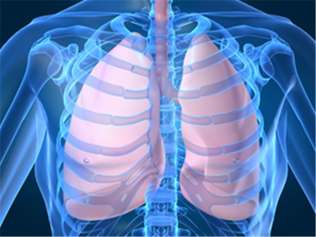 COPD-Exazerbation riskant fürs Herz COPD ist keine reine Lungenkrankheit; die Entzündungsvorgänge laufen systemisch ab.