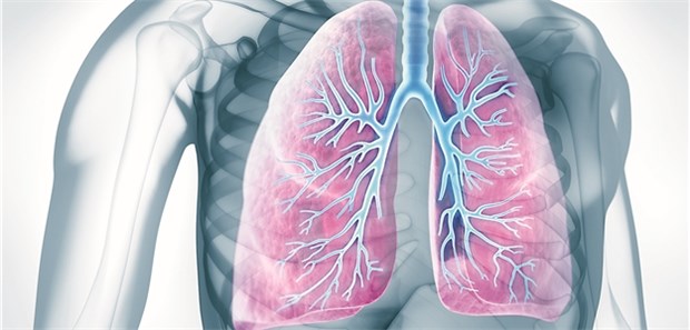 COPD und Asthma sollen anhand einfacher Kriterien besser unterschieden werden können.