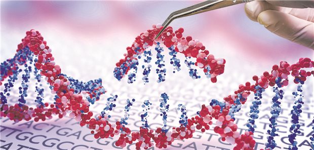 CRISPR/Cas kann gezielt auf einzelne Gene ausgerichtet werden