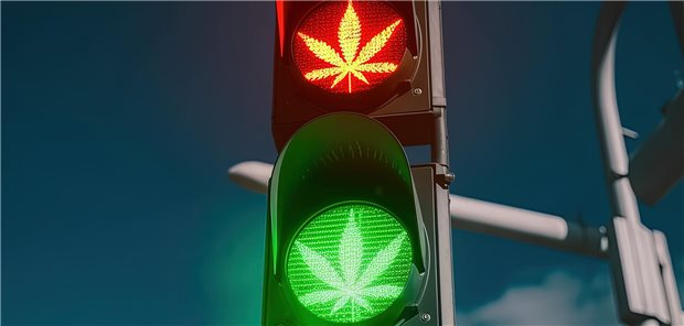 BPtK: Ampel-Koalition verpasst Neustart in der Drogen- und Suchtpolitik Cannabis: Die Ampel-Koalition plant eine Freigabe ab 18 Jahren.