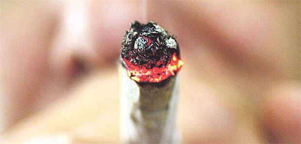 Weniger Opioid-Tote in den USA? Cannabis: Für Schmerzpatienten möglicherweise eine Alternative zu Opioiden oder zumindest ein Mittel, um den Opioidbedarf zu senken.