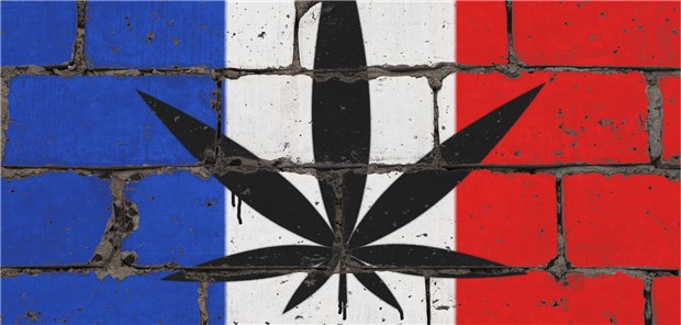 Nationalversammlung will medizinisches Cannabis Cannabis-Graffiti auf Franrkeich-Fahne: Auch im Nachbarland wollen Politiker medizinisches Cannabis zulassen.
