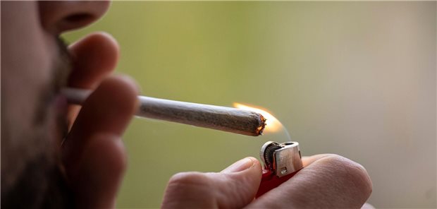 Cannabis-Straftaten seit Legalisierung in Berlin gesunken Cannabis-Straftaten sind laut Gesundheitsverwaltung Berlin seit der Legalisierung in der Stadt gesunken.