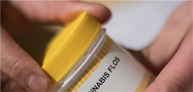 "Ohne Cannabis, das wäre blanker Horror" Cannabis als Arznei: Vor der Gesetzesänderung haben Betroffene eine Ausnahmegenehmigung für die Behandlung mit Cannabis benötigt.