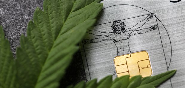 Cannabis: Schmerzmediziner betonen Nutzen für Schwerkranke – und fordern mehr Evidenz Cannabis auf Kassenkosten