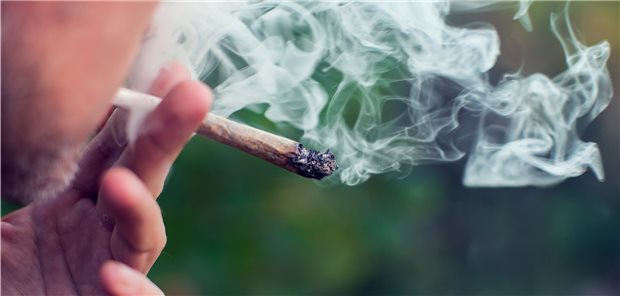 Cannabis gegen Schmerzen von entzündlich-rheumatischen Erkrankungen? Die Datenlage dazu ist mangelhaft.