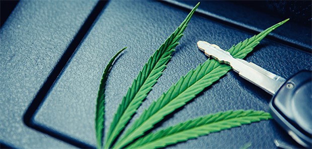 Nach Kiffen am Steuer – trotzdem Arbeitsunfall Cannabis im Blut verstößt zwar gegen die StVO, schließt aber nicht komplett die Fahrtüchtigkeit aus, so das Sozialgericht Osanbrück.