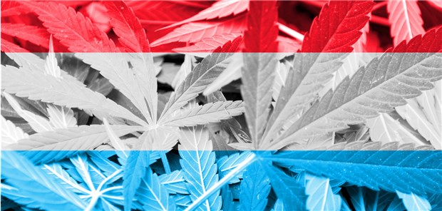 Luxemburg will Cannabis legalisieren Cannabis in den Farben der luxemburgischen Nationalflagge: Das kleine Großherzogtum plant, den Anbau von Cannabis zu legalisieren – als erstes Land Europas.