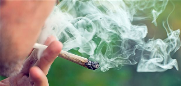 Immer mehr Europäer konsumieren Cannabis in riskanten Mengen Cannabis in einem Joint: In jedem zweiten europäischen Land gaben mehr als 20 Prozent der Befragten an, im Monat zuvor täglich oder fast täglich Cannabis konsumiert zu haben.