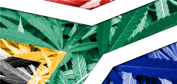 Afrika will Führungsrolle bei Cannabis einnehmen Cannabis unter südafrikanischer Fahne: Afrika will als Kontinent beim Geschäft mit der medizinischen Nutzung der Pflanze ordentlich mitmischen.