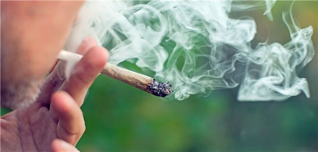 Deutlich mehr Behandlungsfälle in Folge von Cannabiskonsum Cannabis wird immer beliebter. Die von der Ampel-Koalition geplante Legalisierung könnte dem Konsum einen neuen Schub versetzen.