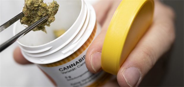 Sozialgericht Frankfurt am Main bestätigt Aus für Cannabisblüten Cannabisblüten in einer Dose