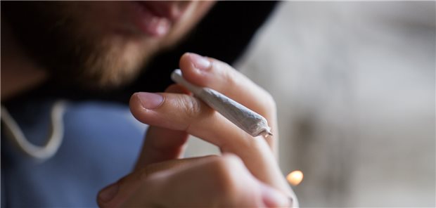 Cannabiskonsum: Die Systemische Therapie hat sich im Vergleich zu anderen Behandlungsformen als wirksamer erwiesen, so das IQWiG.
