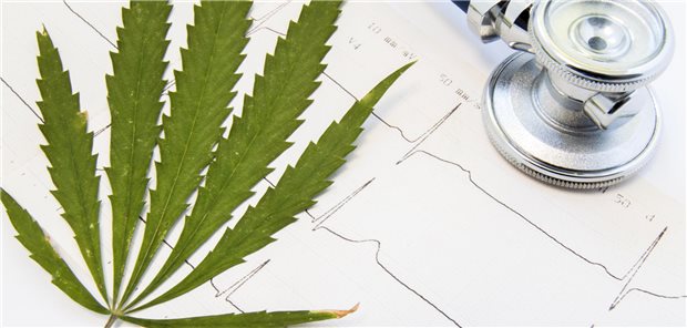 Cannabisblatt auf einem EKG neben einem Stethoskop. 