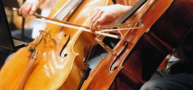 Cellospielen trotz Amnesie Cello: Die Musik bleibt hängen - trotz Enzephalitis.