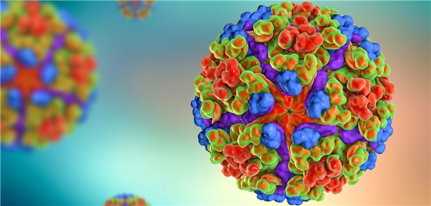 Chikungunya-Viren im Modell: Die Erreger breiten sich in tropischen Ländern aus.
