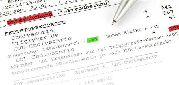 Gutes Cholesterin: Welcher HDL-Cholesterin-Wert ist optimal?