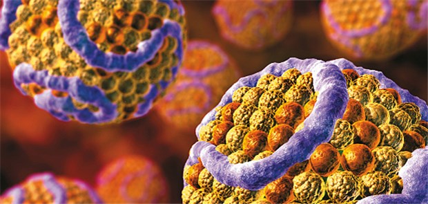 Cholesterin als Computersimulation