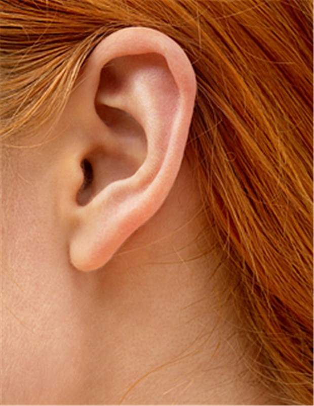 Stress kann ursächlich für einen Tinnitus sein Chronischer Stress kann Veränderungen im auditorischen System hervorrufen.