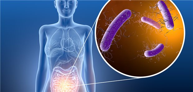 Clostridioides (C.) difficile: Bakterieller Erreger infektiöser nosokomialer Diarrhöen.