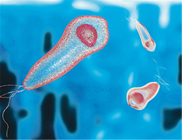 Warum schon wenig Neurotoxin tödlich ist Clostridium tetani bildet hochwirksame Neurotoxine. Der diesjährige Paul-Ehrlich-Preisträger hat die Moleküle im Detail erforscht.