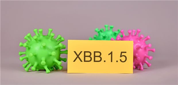 Niedriges Risiko durch Corona-Sublinie XBB.1.5 Corona-Sublinie XBB.1.5: Ein mäßiges bis hohes Risiko besteht wohl – je nach Immunität gegen das Coronavirus – primär für gefährdete Personen wie Ältere, Nicht-Geimpfte und Immungeschwächte.