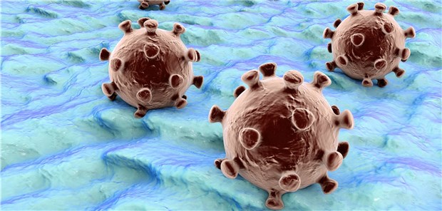 Der Weg bis zu einem Corona-Impfstoff ist noch lang Coronaviren auf der Schleimhaut: Ein Impfstoff soll die Erreger neutralisieren, bevor sie in die Zellen des Menschen eindringen können.