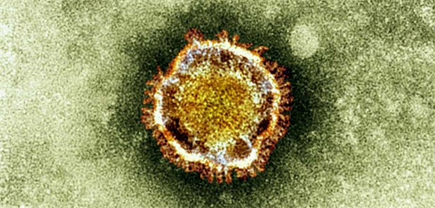 K22 könnte MERS und SARS hemmen Coronavirus: Laut Forschern könnte K22 die Replikation hemmen.