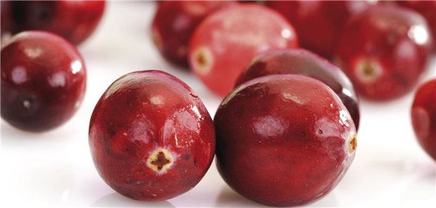 Cranberry: Ihr Nutzen in Präparaten zur Prävention von rezidivierender Zystitis wurde im finalen HTA-Bericht beurteilt.