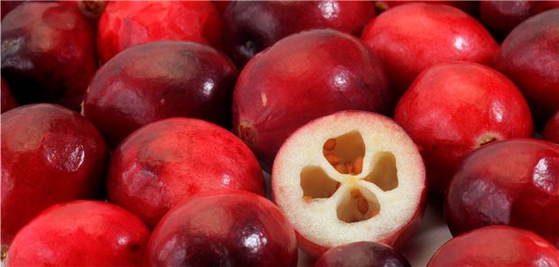 Cranberry: Zur Behandlung mit pflanzlichen Mitteln bei Harnwegsentzündungen liegen die meisten Studiendaten für Cranberry-Präparate vor.