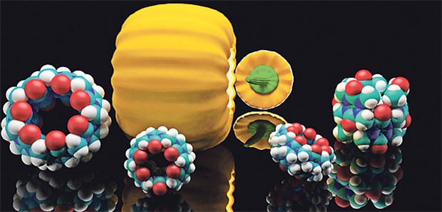 Neues Transportmolekül für Steroide Cucurbiturile haben die Form eines hohlen Kürbisses und können Wirkstoffe transportieren.