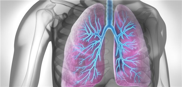Zertifizierung, Benchmarking: Mukoviszidose als Blaupause für andere Orphan Diseases? Cystische Fibrose betrifft nicht nur die Lunge. Die seltene Erkrankung kann sich auch in der Bauchspeicheldrüse, Galle, Leber und oder im Darm manifestieren.