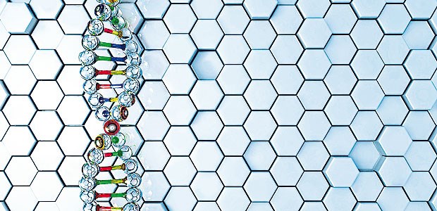 DNA-Variante beeinflusst Risiko und Therapieerfolg DNA-Strang: Eine DNA-Variante bedingt, dass nach einer Mahlzeit mehr Insulin ausgeschüttet wird als gewöhnlich.