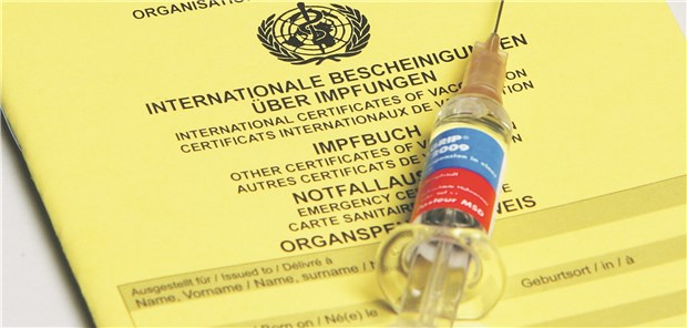Impfstoffe, Honorar, Bestellmengen – so sind regionalen Regeln Darf’s ein bisserl mehr sein? In allen KVen spielt der Vorjahresbedarf an Grippevakzinen als Orientierungsgröße für die Bestellung zur aktuellen Impfsaison eine Rolle.
