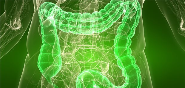 Darmdiagnostik: Bei Verdacht auf eine chronisch entzündliche Darmerkrankung wird bei Kindern zum Teil unnötigerweise eine Koloskopie vorgenommen – eine Kombination aus Blut- und Stuhltests und Symptomevaluierung könnte das verhindern.